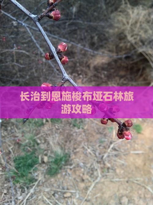 长治到恩施梭布垭石林攻略
