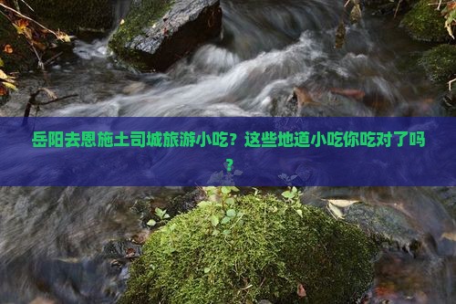 岳阳去恩施土司城旅游小吃