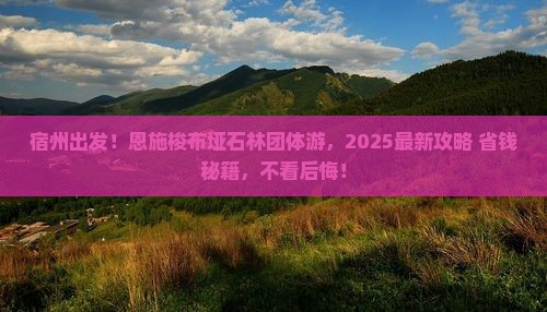 宿州到恩施梭布垭石林团体旅游