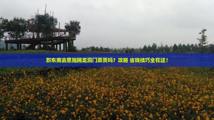 黔东南去恩施腾龙洞门票