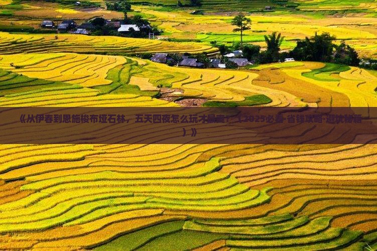 伊春去恩施梭布垭石林五日游