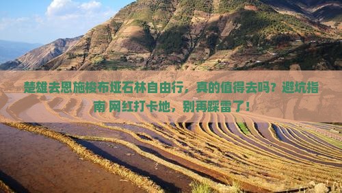楚雄去恩施梭布垭石林自由行