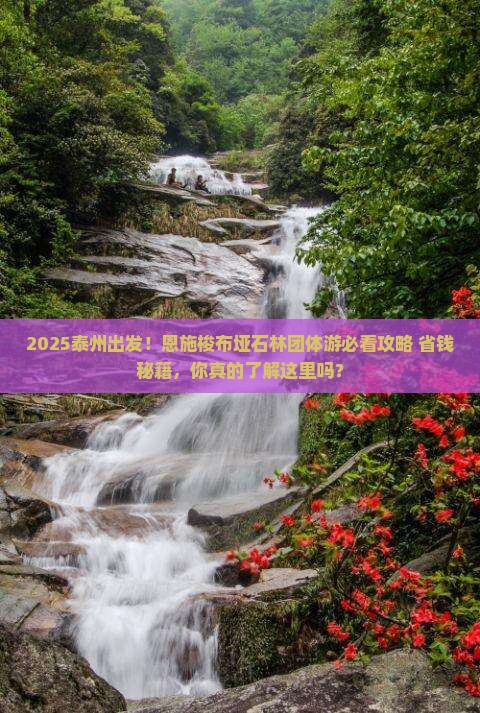 泰州到恩施梭布垭石林团体旅游