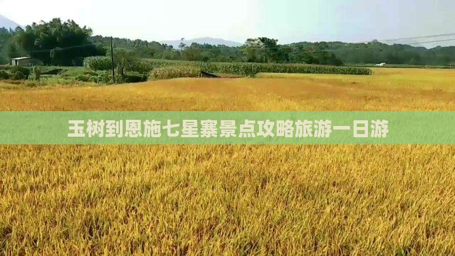 玉树到恩施七星寨一日