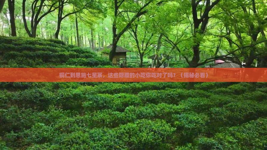 铜仁到恩施七星寨旅游小吃