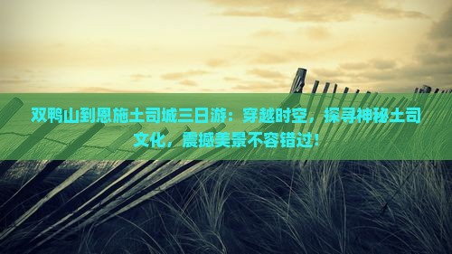 双鸭山到恩施土司城三日游
