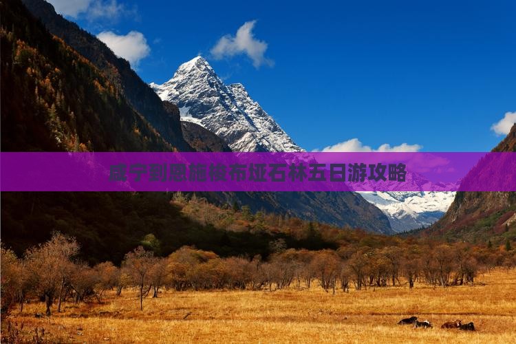 咸宁到恩施梭布垭石林五日游