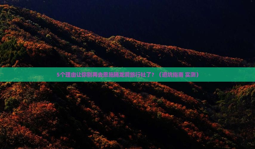 海南省直辖去恩施腾龙洞旅行社