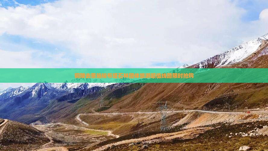 铜陵去恩施梭布垭石林团体旅游
