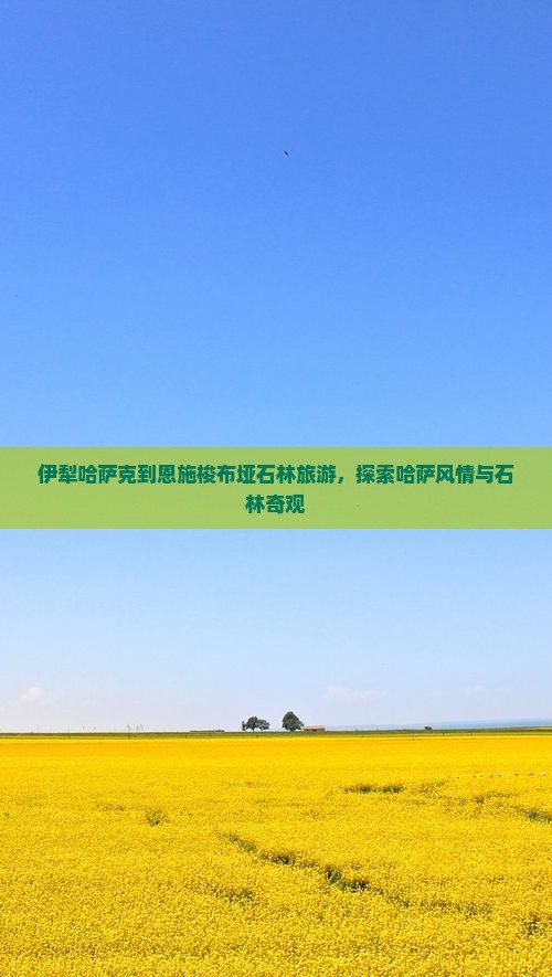 伊犁哈萨克到恩施梭布垭石林自由行