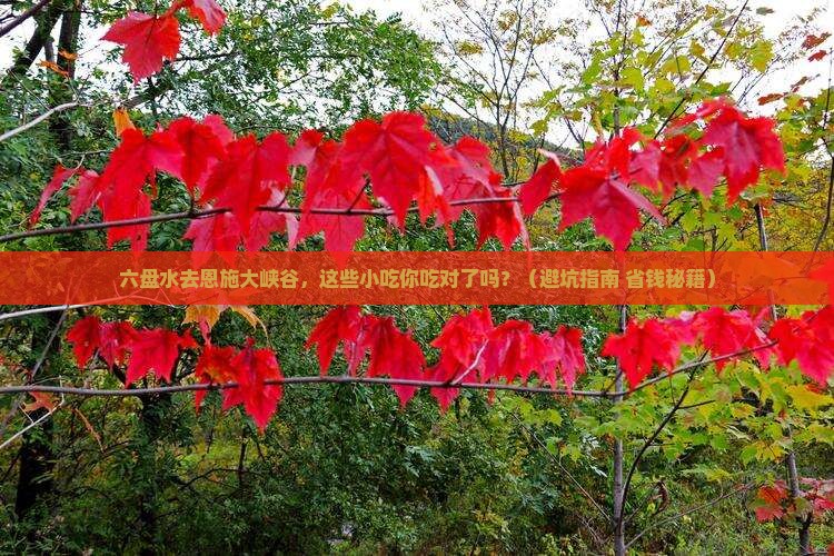 六盘水去恩施大峡谷旅游小吃