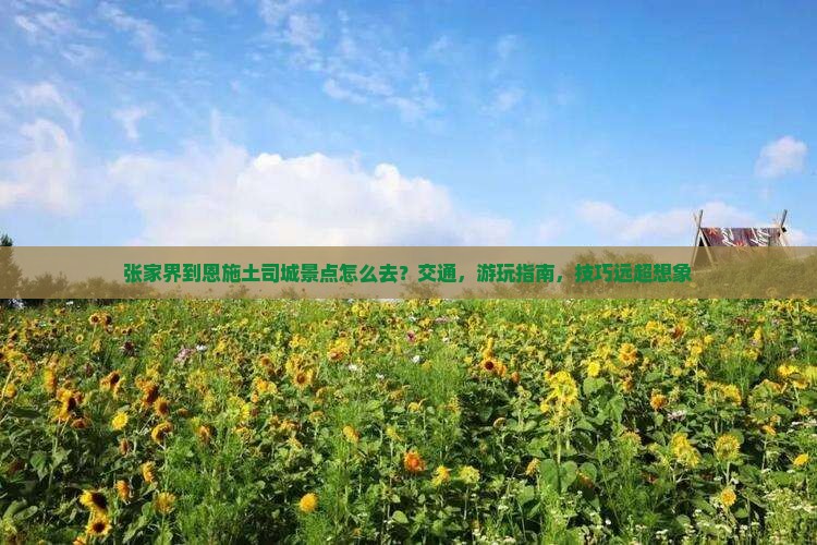 张家界到恩施土司城景点