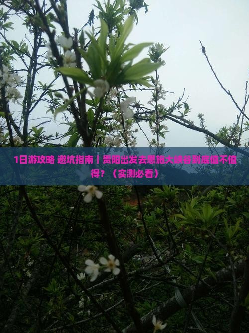 贵阳到恩施大峡谷自由行