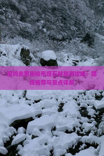 宝鸡去恩施梭布垭石林旅游