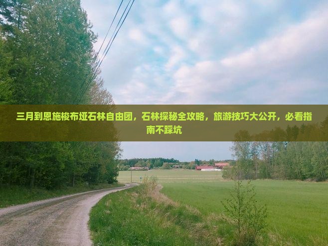 三月到恩施梭布垭石林自由团
