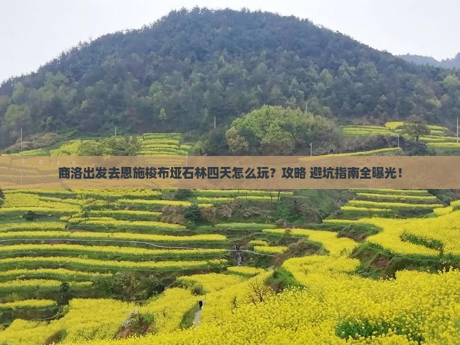 商洛到恩施梭布垭石林四日游