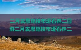 二月去恩施梭布垭石林二日游