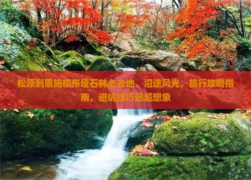 松原到恩施梭布垭石林必去地