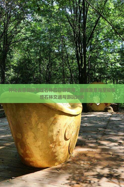 怀化去恩施梭布垭石林四日游