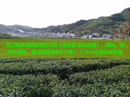 营口到恩施腾龙洞五日游