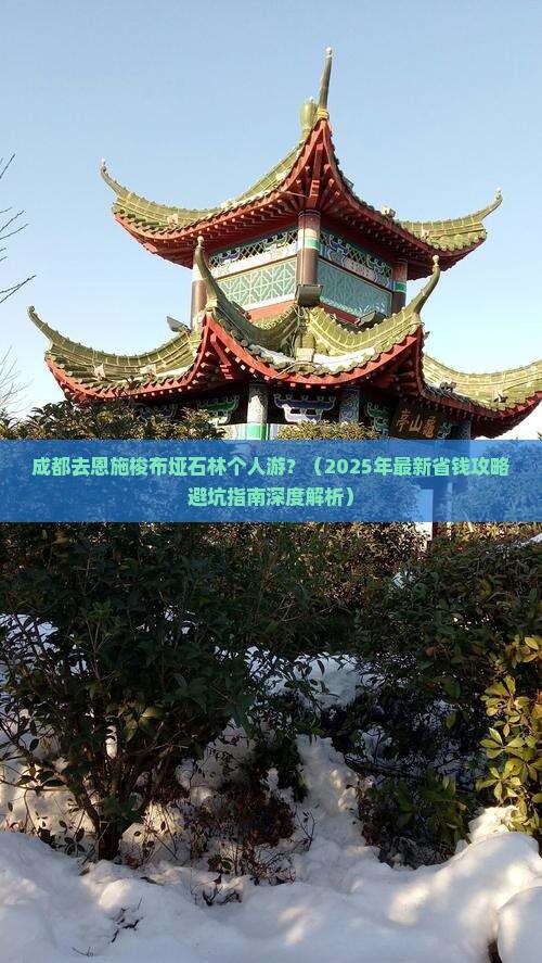 成都去恩施梭布垭石林个人游