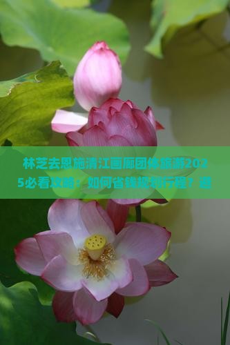 林芝去恩施清江画廊团体旅游