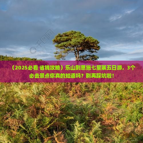 乐山到恩施七星寨五日游