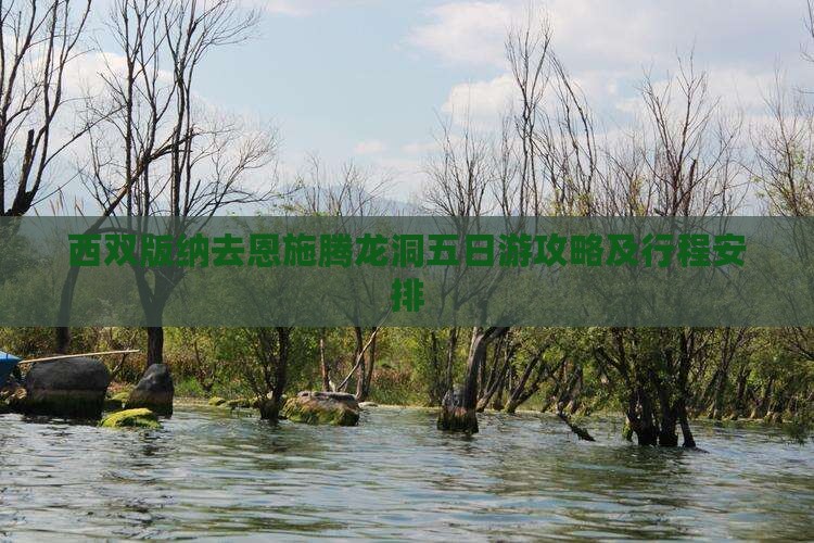 西双版纳去恩施腾龙洞五日游