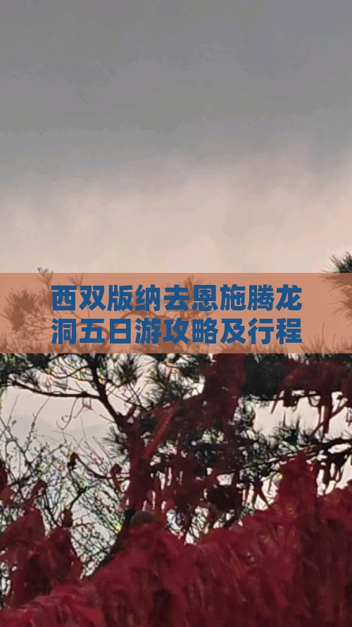 西双版纳去恩施腾龙洞五日游