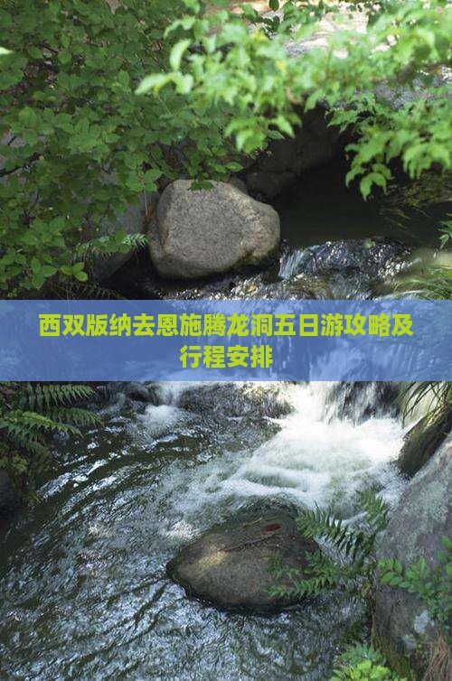 西双版纳去恩施腾龙洞五日游