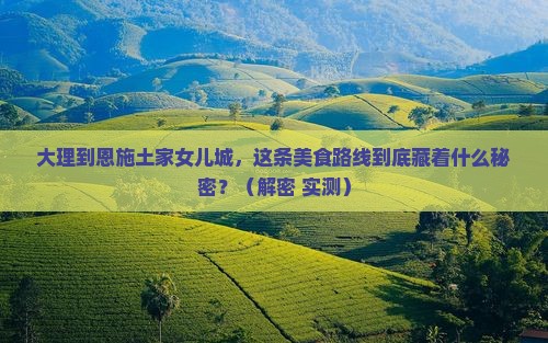大理到恩施土家女儿城旅游小吃
