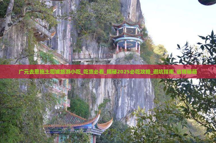 广元去恩施土司城旅游小吃