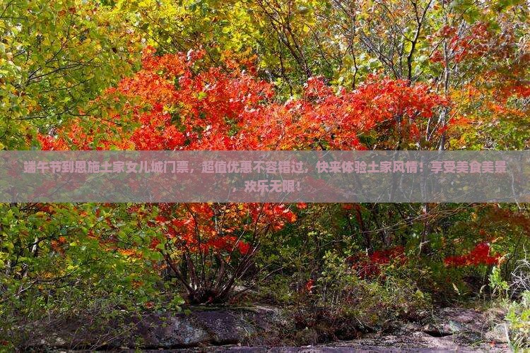 端午节到恩施土家女儿城门票