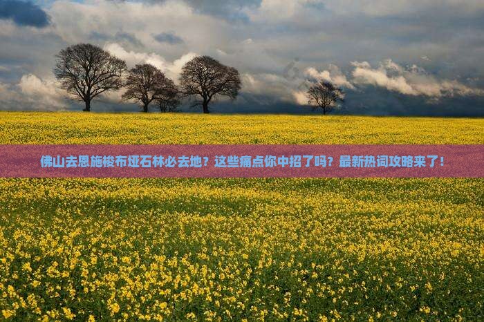 佛山去恩施梭布垭石林必去地