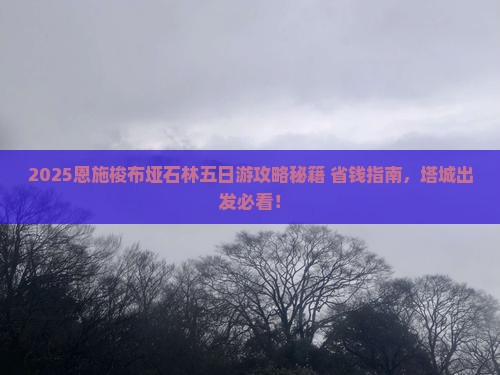 塔城去恩施梭布垭石林五日游