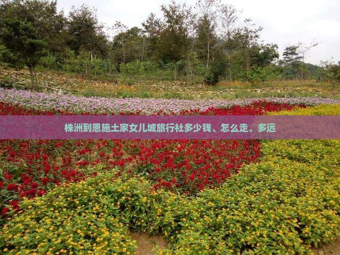 株洲到恩施土家女儿城旅行社