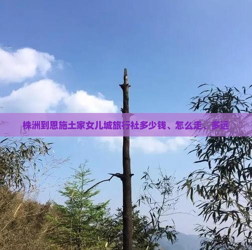 株洲到恩施土家女儿城旅行社
