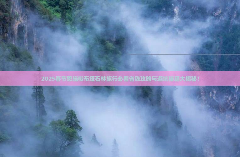 春节到恩施梭布垭石林旅行社