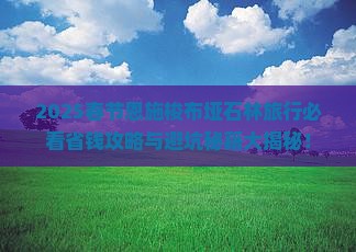 春节到恩施梭布垭石林旅行社