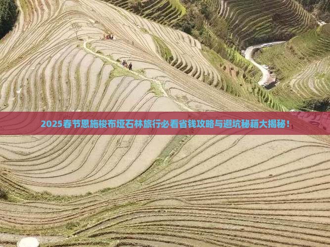 春节到恩施梭布垭石林旅行社