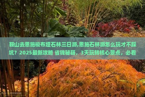 鞍山去恩施梭布垭石林三日游