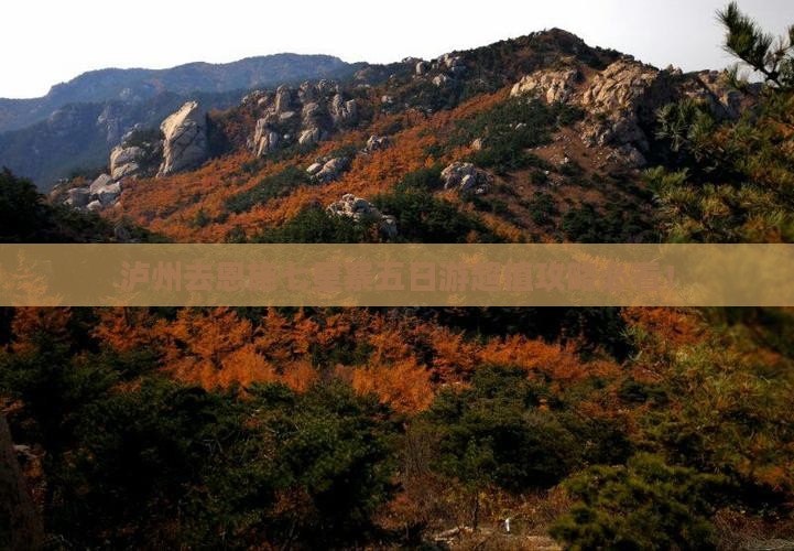 泸州去恩施七星寨五日游