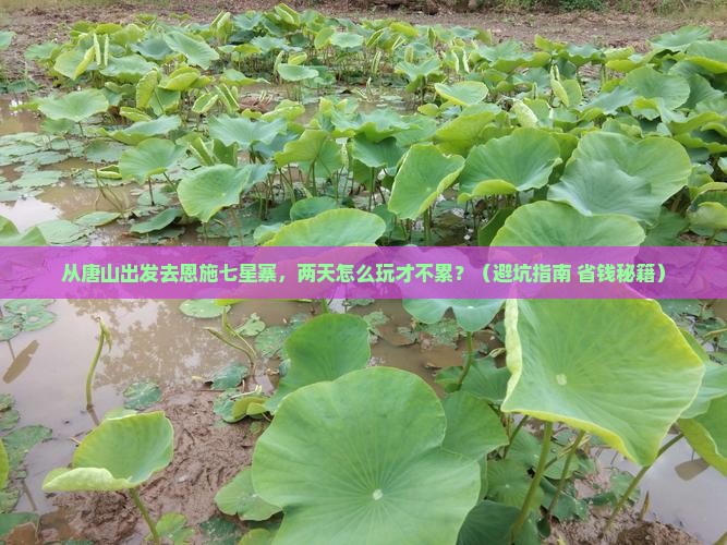 唐山到恩施七星寨二日游