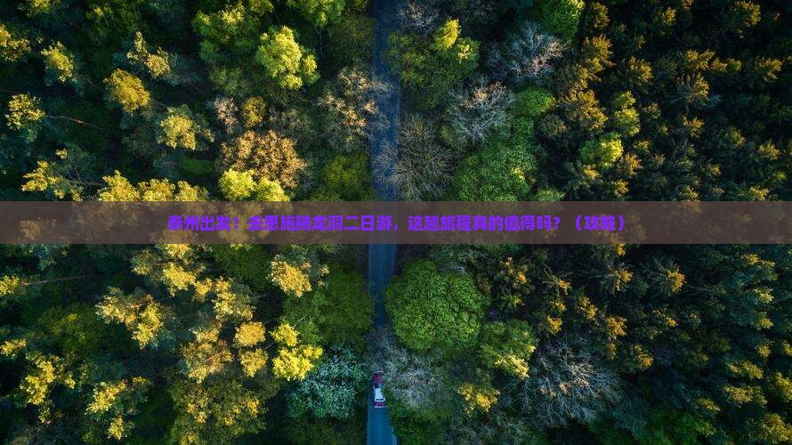 泰州去恩施腾龙洞二日游