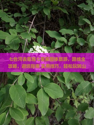 七台河去恩施七星寨团体旅游