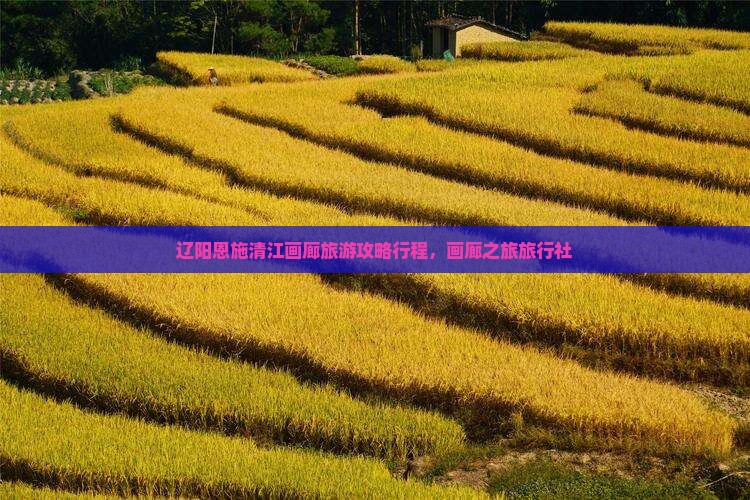 辽阳去恩施清江画廊旅行社