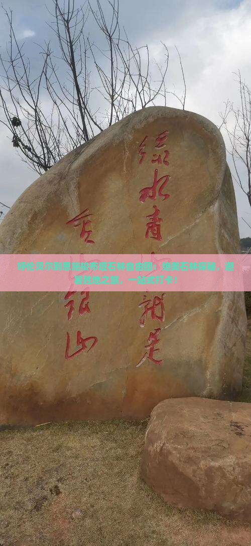 呼伦贝尔到恩施梭布垭石林自由团