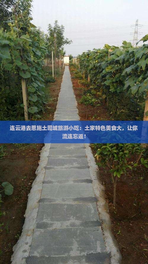 连云港去恩施土司城旅游小吃