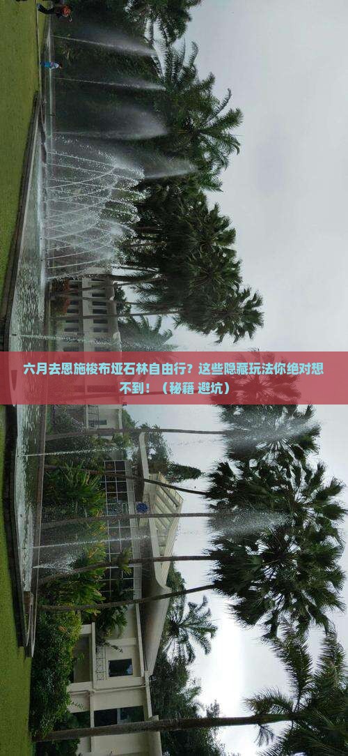 六月去恩施梭布垭石林自由行