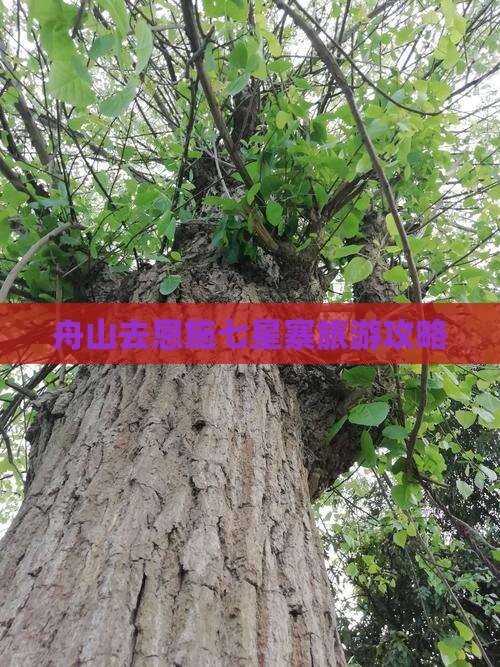 舟山去恩施七星寨旅游